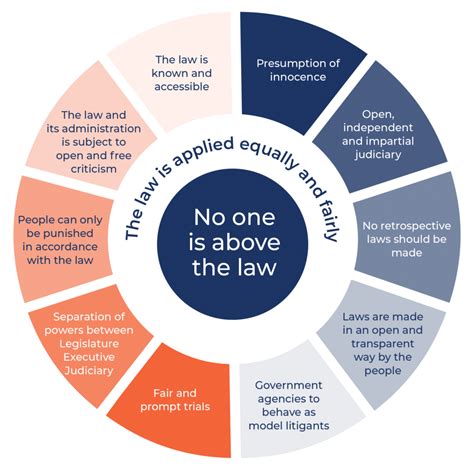 5 Key Principles of EU Law in 2025: A Critical Analysis