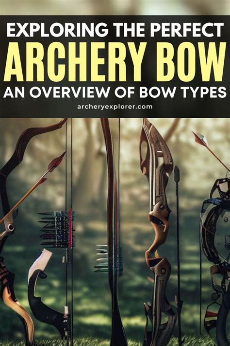 5 Legendary Bow Arrow Types to Enhance Your Archery Skills