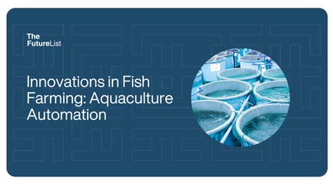 5 Machine Fish Feed Innovations That Will Revolutionize Aquaculture