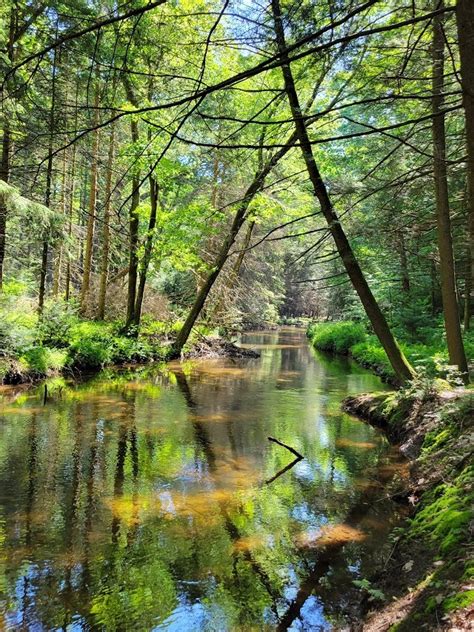 5 Marvelous Herbal Farms in Singapore: A Verdant Sanctuary for Nature Lovers