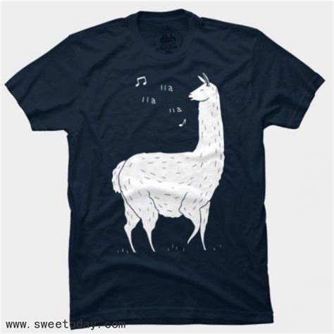 5 Must-Have Llama Apparel Items for True Enthusiasts