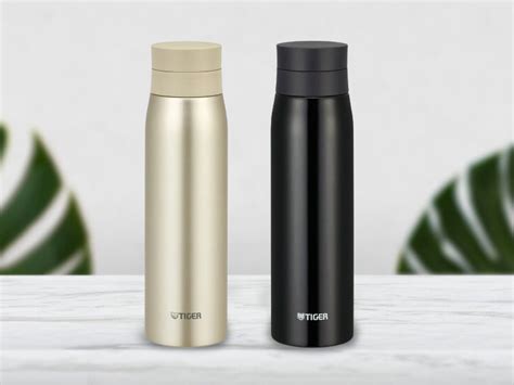 5 Must-Have Thermal Flasks for Singaporeans in 2023