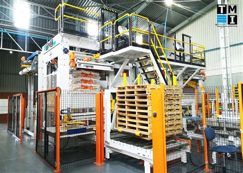 5 Must-Know Facts About Palletizers for Bags: A Comprehensive Guide