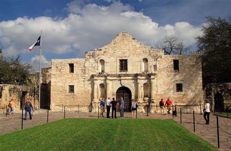 5 Must-Know Facts About the Alamo Dog & Cat