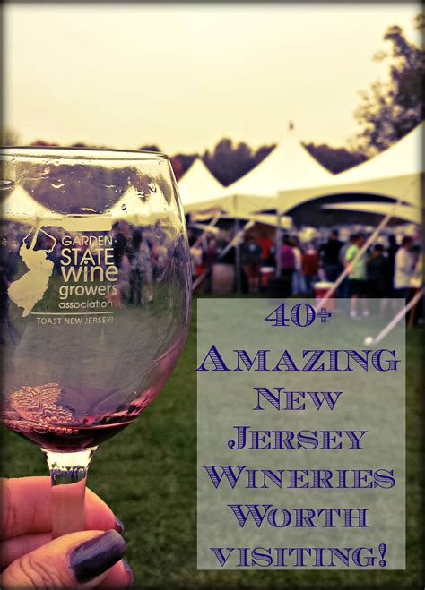 5 Must-Visit Wineries in New Jersey