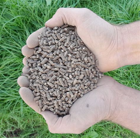 5 Organic Fertilizer Pellet Makers for Your 10X Profits