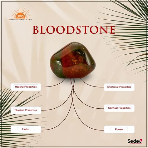 5 Powerful Bloodstone Crystal Meanings & 10 Crystal Healing Uses