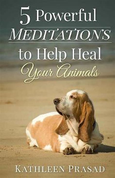 5 Powerful Meditations to Help Heal Your Animals Reader