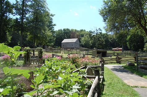 5 Reasons Why Stamford Nature Center Stamford CT is a Must-Visit