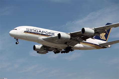 5 Reasons Why Tiger Airlines Singapore is the Perfect Choice for Your Next Trip