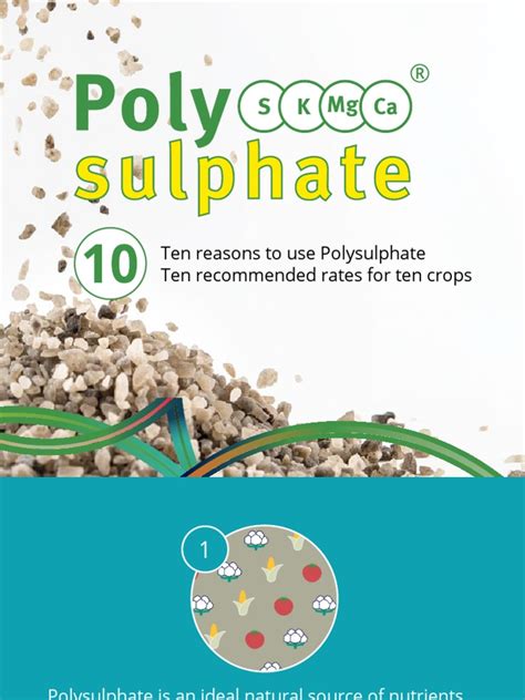 5 Reasons You Can't Ignore Polysulphate Fertilizer