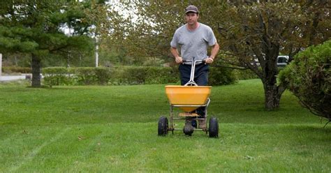 5 Secrets to a Lush Lawn with Sprayable Lawn Fertilizer