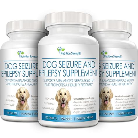 5 Seizure Meds for Dogs: The Ultimate Guide to Choosing the Best Treatment