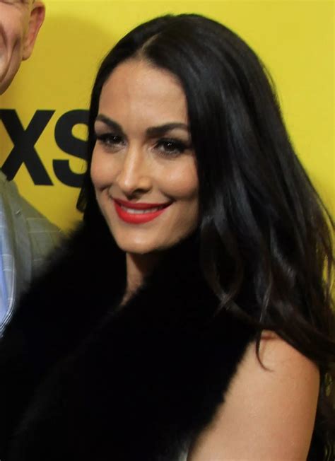 5 Shocking Facts About Nikki Bella & Domestic Violence