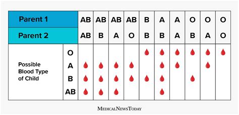 5 Simple Ways to Determine Your Blood Type Today in Singapore