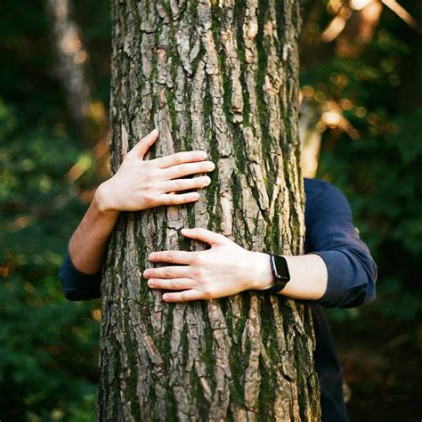 5 Sleeping Children Uncover the Tree Hugging Book's Secret