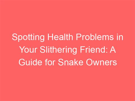 5 Snake Vets Near Me to Keep Your Slithering Friend Healthy