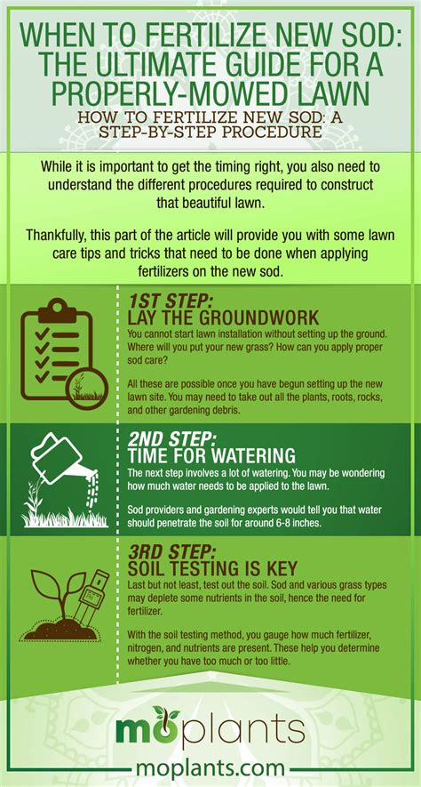 5 Step Guide to Properly Fertilizing New Sod