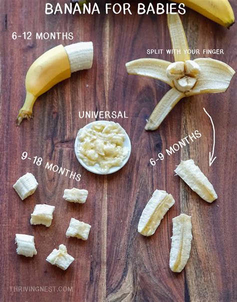 5 Steps to Safely Introduce Bananas as Finger Food to Your Baby