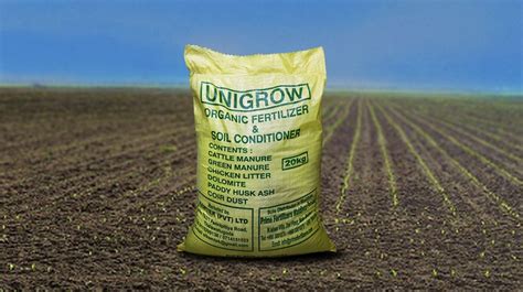 5 Superior Fertilizer Options with Iron: Transform Your Soil!