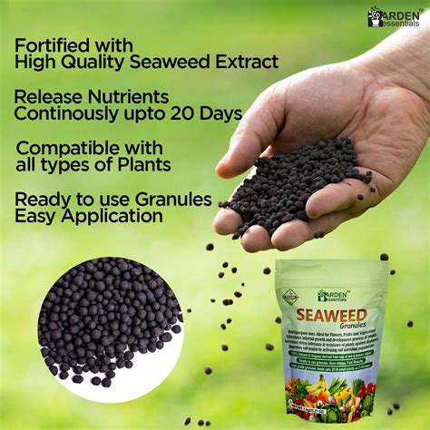 5 Surprising Benefits of Organic Seaweed Fertilizer for Your Plants!