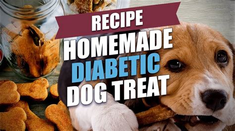 5 Sweet and Savory Treats for Diabetic Dogs