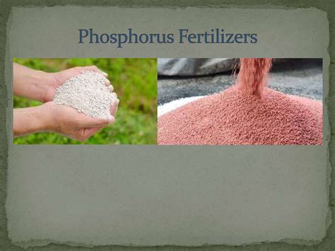 5 Things You Need to Know About Phosphorous Fertilizer