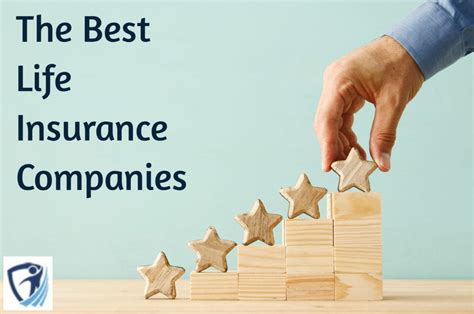 5 Top-Rated Insurance Companies Near You