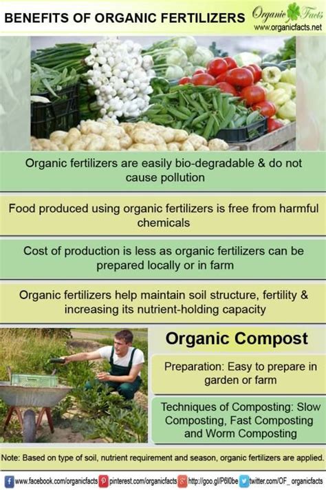 5 Unbelievable Benefits of Fertilizer in Organic Gardens