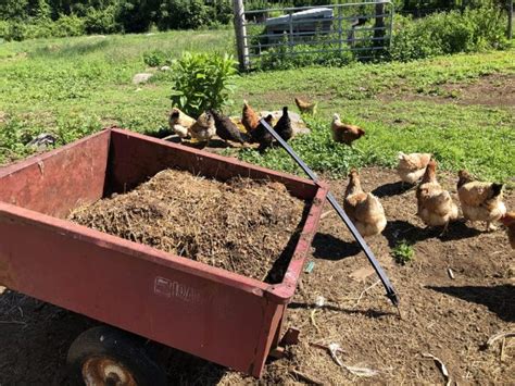 5 Unbelievable Uses of Chicken Manure Crusher That Will Blow Your Mind