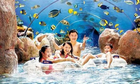 5 Unforgettable Experiences with Sentosa Aquarium Tickets