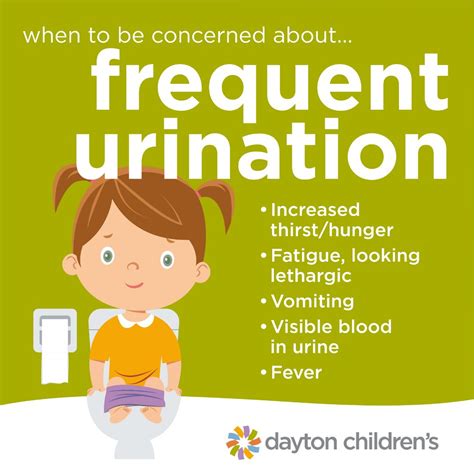 5 Unignorable Reasons for Urine Drops After Urination in Females