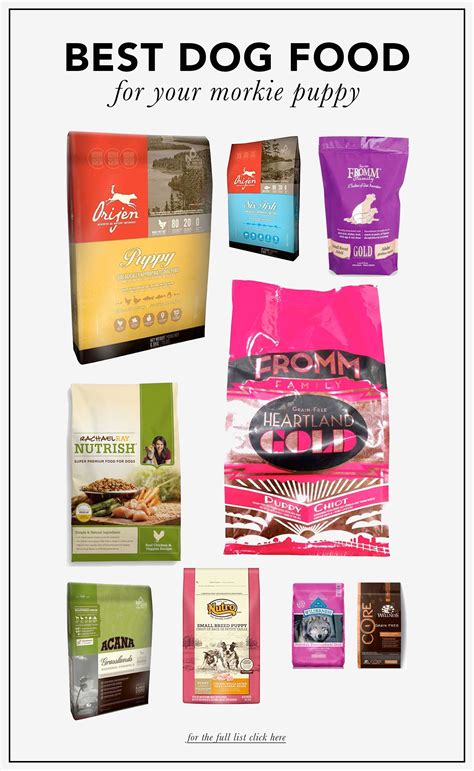 5 Unmissable Organic Dog Food Brands for Your Furry Friend's Health and Happiness