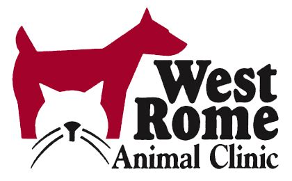 5 Vet Clinics in Rome, GA: A Complete Guide