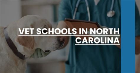 5 Vet Schools in North Carolina: A Comprehensive Guide