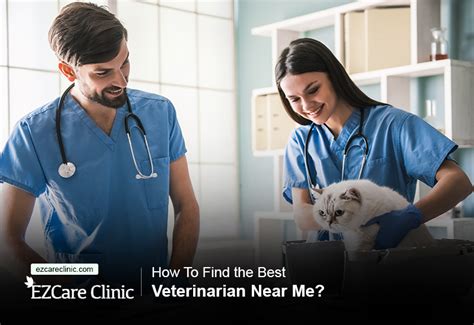 5 Veterinarians Near Me Open Saturday: Find Weekend Pet Care in 5 Miles