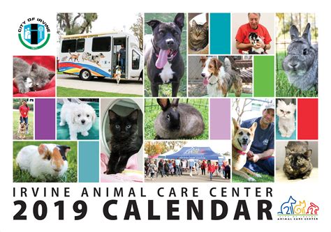 5 Ways Irvine Animal Care Center is Revolutionizing Animal Care