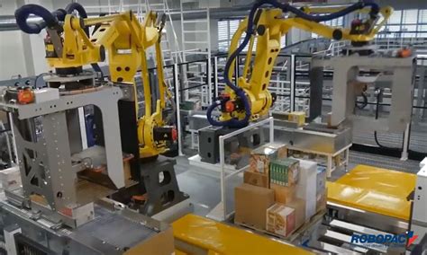 5 Ways a Palletizer Machine Can Revolutionize Your Packaging Process