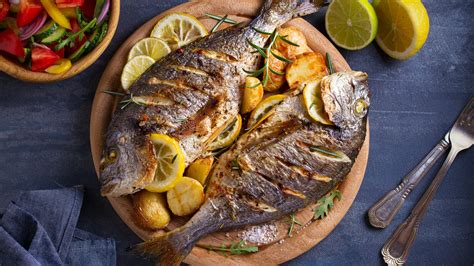 5 Wilderdog Fish Recipes to Enhance Your 2025 Culinary Journey