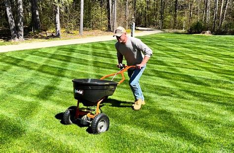 5 Yard Fertilization Companies to Keep Your Lawn Lush, Green, and Healthy