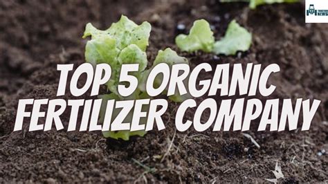 5 best fertilizer companies near you