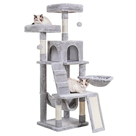 5 foot cat tree