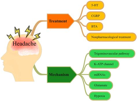 5-Hydroxytryptamine Mechanisms in Primary Headaches 1st Edition Reader