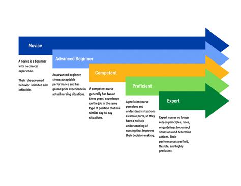 5-Step Benner Cycle Chart: A Comprehensive Guide to Nursing Expertise Development