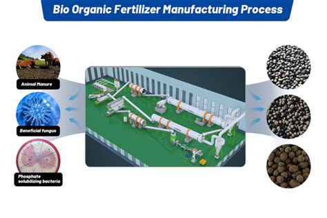 5-Step Bio Fertilizer Production Line That'll Green Up Your Profits