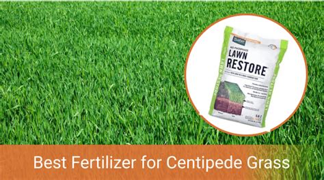 5-Step Guide: Centipede Lawn Fertilizer For The Best Greens