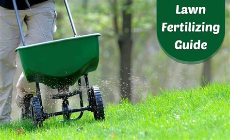 5-Step Guide to Fertilizing Your Grass with the Perfect Numbers