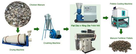 5-Step Guide to Selecting the Perfect Chicken Manure Fertilizer Pellet Making Machine in 2023