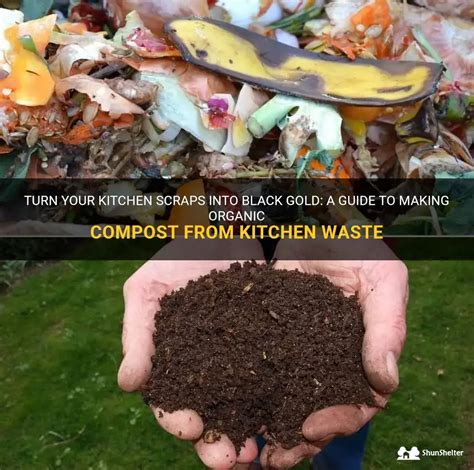 5-Step Guide to Turn Your Compost into Black Gold with 10 Best Turning Machines