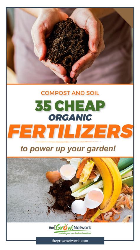 50% Off Fertilizer Sale: Save Big and Grow Your Garden!